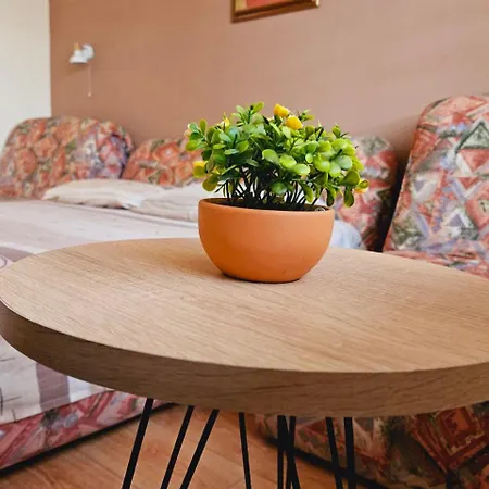 Apartment Kutak Nesic